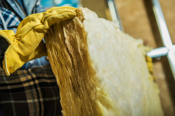Best Cellulose Insulation  in Hoopeston, IL